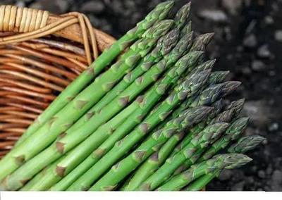 从灵芝到藏红花 山东农业的多元新名片