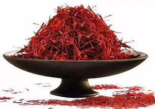 藏红花种植 邵德春餐饮定位中顶级厨师必备食材的黄金密码