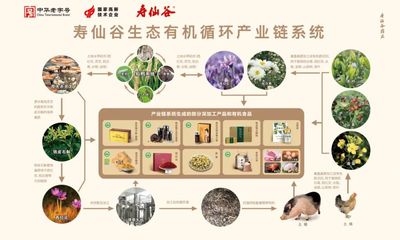 藏红花与铁皮石斛的双璧辉映 寿仙谷助力“263共富农产品”新征程