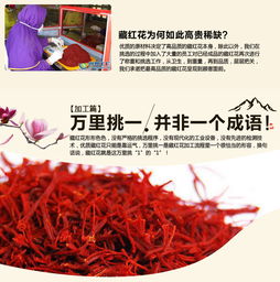 五彩珠峰下的瑰宝 精选伊朗正品藏红花与西藏种植之美